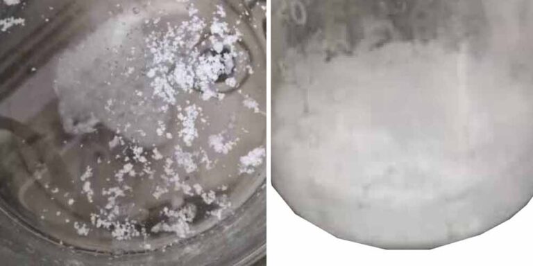 What the formula of GS441524 is? - SAK GS 441524